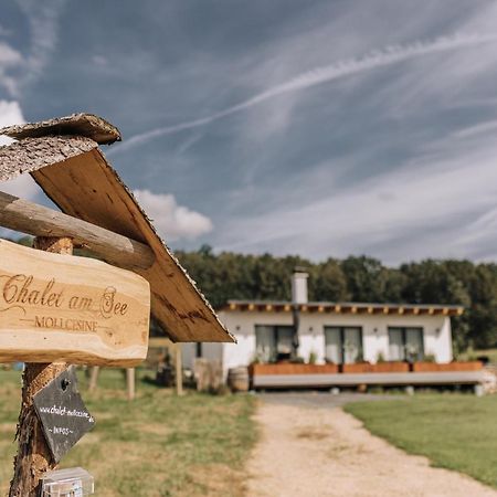 Chalet Am Mollcesine Oderwitz Εξωτερικό φωτογραφία